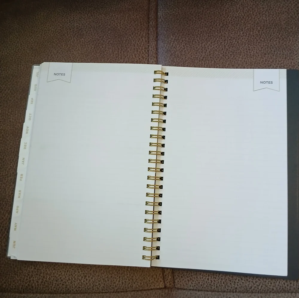 Day Designer tabbed planner 2024 to 2025